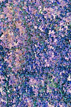 N 191C